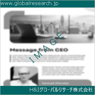 グローバルリサーチ調査資料のイメージ